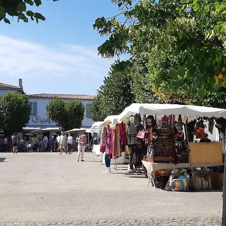Vakantiehuis Maison De Plain-pied Avec Jardin Proche Plage, 3 Chambres, Wifi, Accepte Animaux - Fr-1-544-19